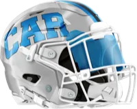 Carolina Panthers helmet