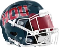 Houston Texans helmet